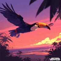 Vdycd — Toucan Exotique — обложка